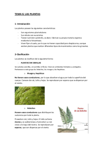 LAS-PLANTAS.pdf