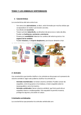 ANIMALES-VERTEBRADOS.pdf