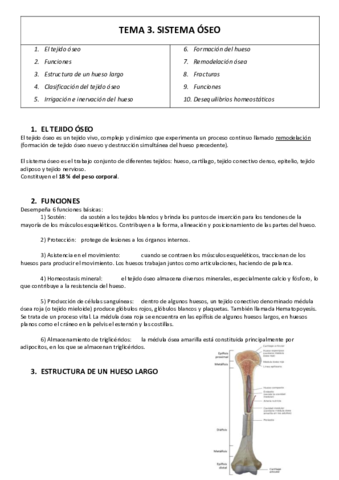 TEMA-3-resumen.pdf