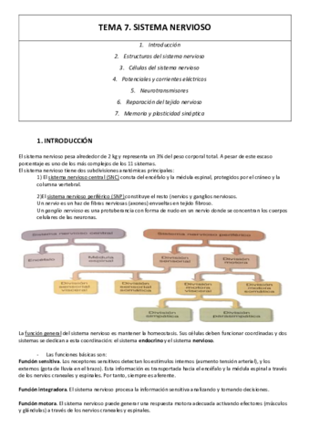 TEMA-7-resumen.pdf