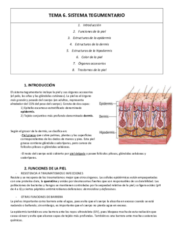 TEMA-6-resumen.pdf