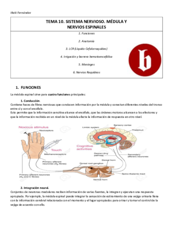 TEMA-10-resumen.pdf