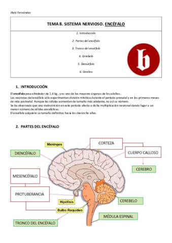 TEMA-8-resumen.pdf