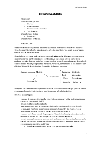 unidad-13-catabolismo.pdf