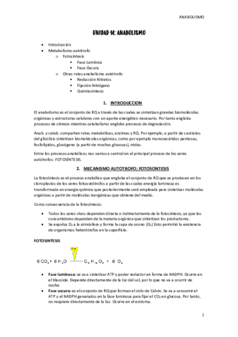 unidad-14-anabolismo.pdf