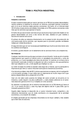Resumen-TEMA-5-Politica-Industrial.pdf