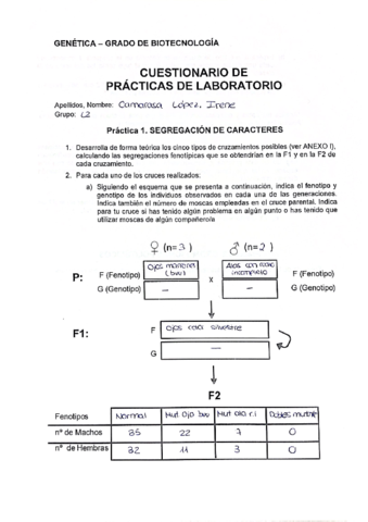 Ficha-de-Laboratorio-CamarasaLopezIrene.pdf