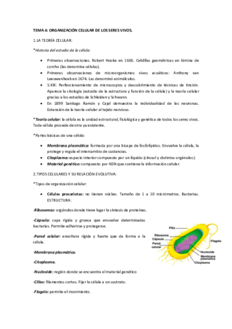TEMA-4-ORGANIZACION-CELULAR-DE-LOS-SERES-VIVOS.pdf