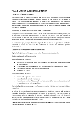 Resumen-T3-pol-ins.pdf