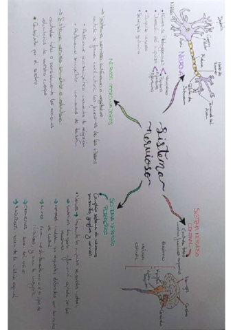 IMG20220503200802.pdf