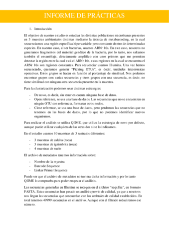 Informe-practicas-BTMA.pdf