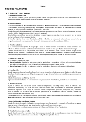 RESUMEN-Intro-derecho.pdf