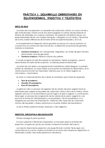 Apuntes-Practicas.pdf