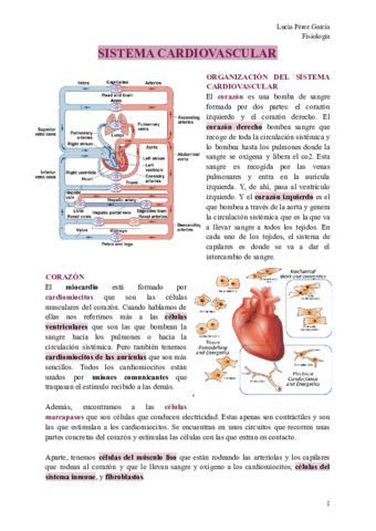 SISTEMA-CARDIOVASCULAR.pdf