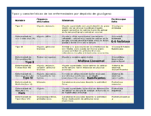 TIPOS-Y-CARACTERISTICAS-DE-LAS-ENFERMEDADES-POR-DEPOSITO-DE-GLUCOGENO.pdf