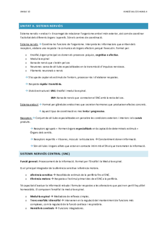 U10-Sistema-Nervios-.pdf
