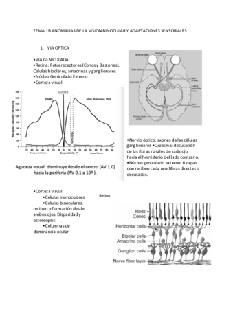 TEMA-1B-ANOMALIAS-DE-LA-VISION-BINOCULAR-Y-ADAPTACIONES-SENSORIALES.pdf