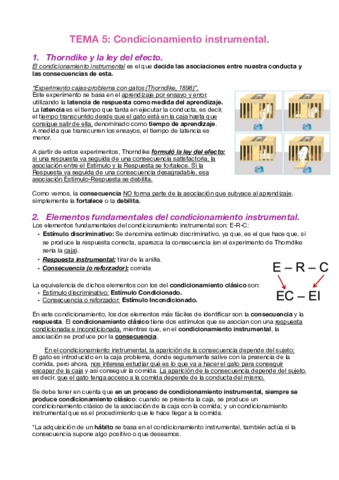 Tema 5.pdf