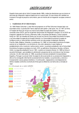 Resumen-FUE-convertido.pdf