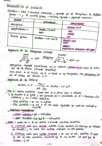 Regulacion-de-la-glucolisis.pdf