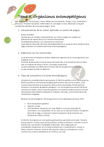 Tema-5.pdf