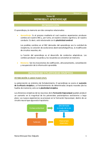 Tema-10-Memoria-y-aprendizaje.pdf