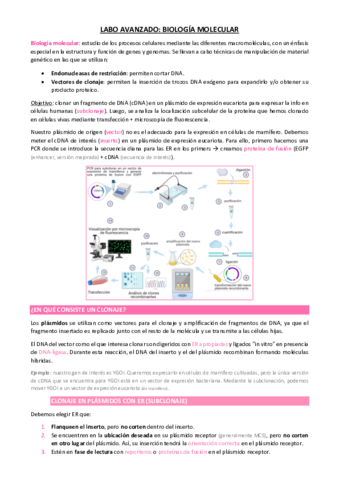 apuntes-biomolecular.pdf