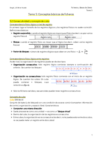 Tema-5-Conceptos-basicos-de-ficheros.pdf