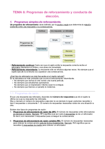 Tema 6.pdf