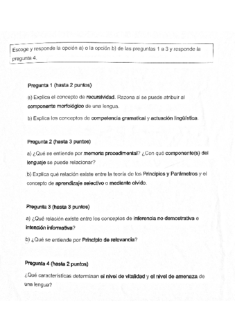 final-linguistica-.pdf