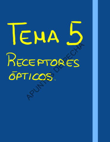 Tema-5-Receptores-Opticos.pdf
