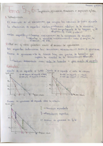 TEMA-5-y-6-FP.pdf