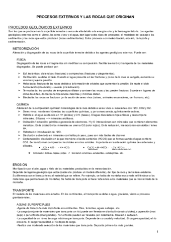 Procesos-geologicos-externos-y-rocas-sedimentarias.pdf