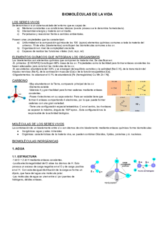 B2-T2-biologia.pdf