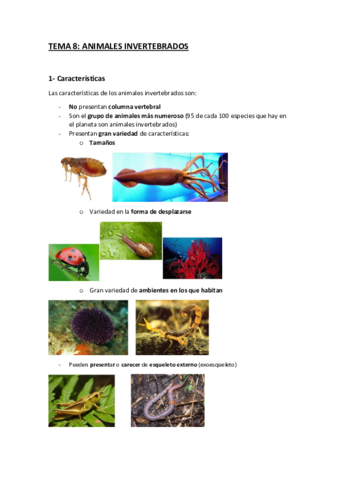 ANIMALES-INVERTEBRADOS.pdf