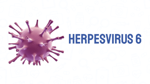 Herpesvirus-6.pdf