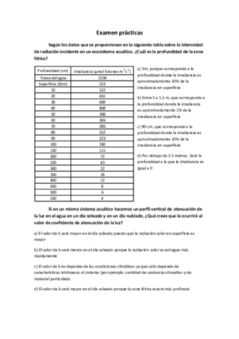 Examen prácticas.pdf