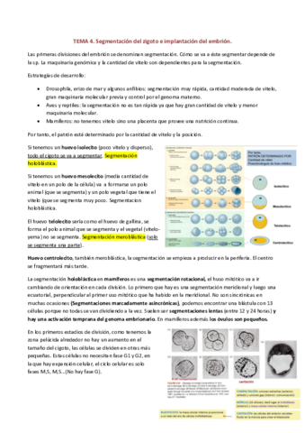 TEMA-4.pdf