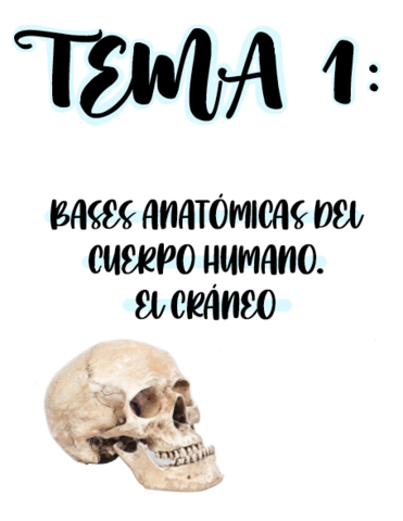 Tema-1-Bases-anatomicas-cuerpo-.pdf