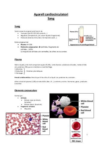 6-Aparell-cardiocirculatori.pdf