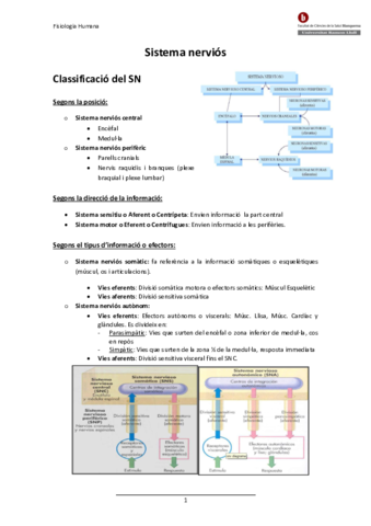 2-SISTEMA-NERVIOS.pdf
