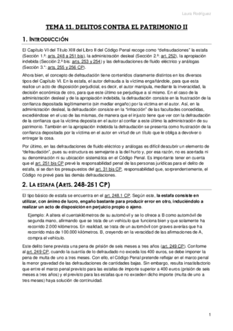 Tema-11-penal-especial.pdf