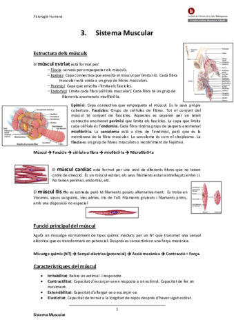 3-SISTEMA-MUSCULAR.pdf