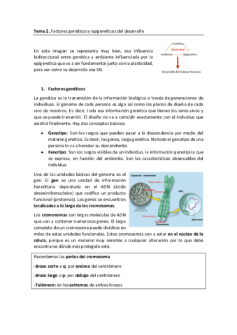 Tema-2.pdf