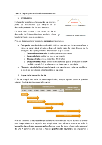 Tema-3.pdf