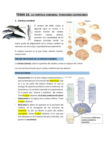 TEMA-16-La-corteza-cerebral-funciones-superiores.pdf