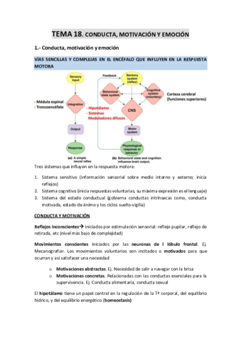 TEMA-18-Conducta-motivacion-y-emocion.pdf