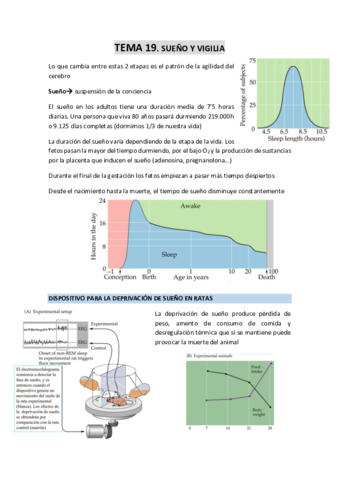 TEMA-19-Sueno-y-vigilia.pdf