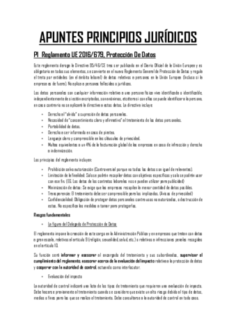 APUNTES-PRINCIPIOS-JURIDICOS-parte-2.pdf