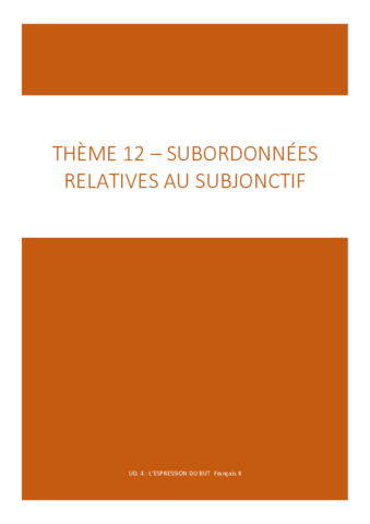 THEME-12.pdf